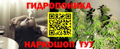 кокс Кунгур